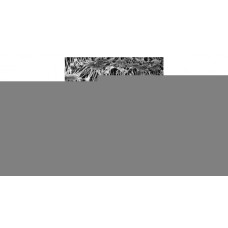 Мембранные фильтры Fluoropore (Гидрофобный PTFE) Мембранные фильтры Fluoropore (Гидрофобный PTFE)