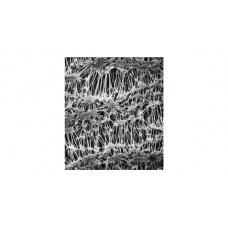 Мембранные фильтры LCR (Гидрофильный ПТФЭ) Мембранные фильтры LCR (Гидрофильный ПТФЭ)