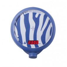 IKA color squid zebra IKA color squid zebra