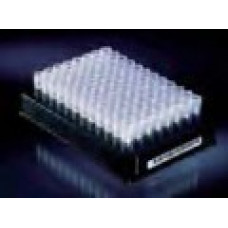 Криопробирки Cryobank Vials Thermo Scientific, черный штатив с 96 пробирками